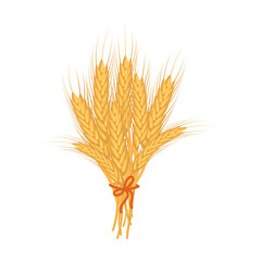 Bouquet of spikelets of wheat. Agriculture icon, design element, vector