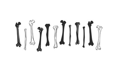 Hand drawn vector abstract graphic line art collection set of Human skeleton, bones and joints, isolated on white background. Vector hand drawn sketch illustration. Doodle Halloween anatomy icons set.