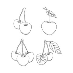 Cherry doodle vector stock illustration hand drawn image isolated on white background.