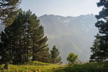 Mountain summer landscape, alpine meadows, Caucasus mountains