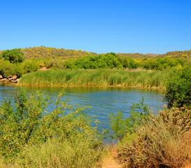 Autumn at Saguaro lake in Arizona