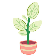 plant in pot minimalist 