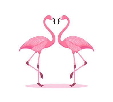 Cute pink flamingo birds, vector for shirt, fashion, poster, card, sticker designs