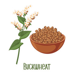 Fototapeta na wymiar Set of buckwheat grains and spikelets. Buckwheat plant, buckwheat grains. Agriculture, food icons, design elements, vector