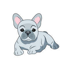 Sticker of a cute little gray-blue French bulldog puppy lying on a white background
