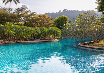 Swimming pool with clear turquoise water among a beautiful garden with frangipani trees in the setting sun in Phuket, Thailand