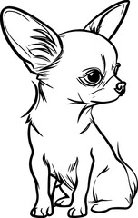 chihuahua dog in line art 2