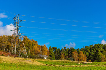 Electricity pylon erected on agricultural land in a very rural area of Kinloch Rannock in the...