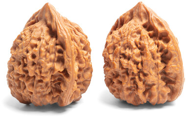 walnut isolated