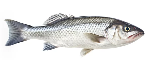 Foto op Plexiglas One fresh sea bass fish isolated on white background. © MKhalid