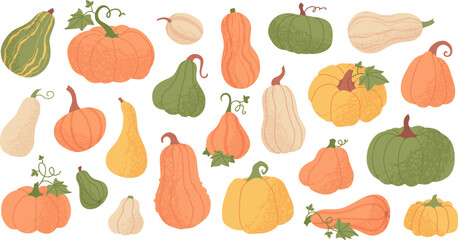 Orange pumpkin with leaves, autumn harvest, different shapes squash and gourd. Halloween celebration symbol, fall season farm vegetable, thanksgiving holiday decor element, yellow pumpkins vector set