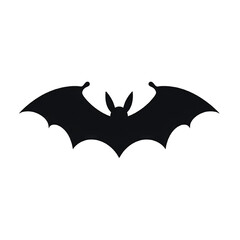 Fototapeta premium Black shadow of a bat