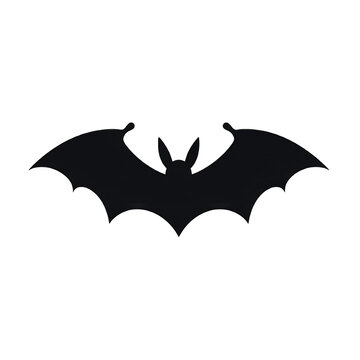 Black shadow of a bat