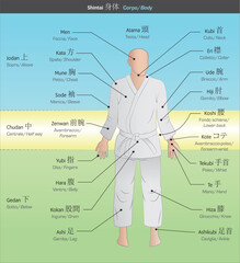 martial body parts
japanese, Italian, English