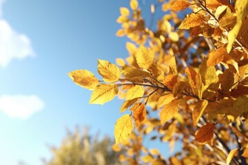 Obraz premium Close Up of Tree with Yellow Leaves