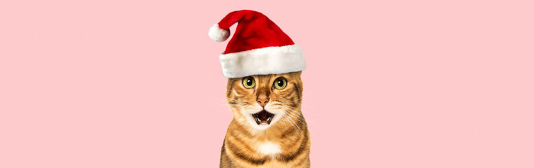 Bengal cat wearing Santa hat, Christmas concept