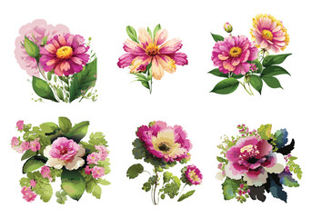 Floral clipart isolated on white background