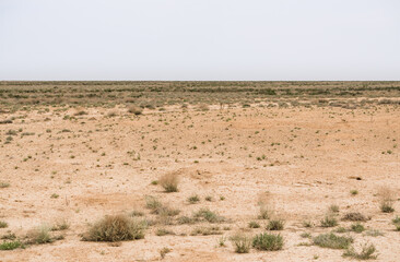 Minimalistic wild dried steppe in Uzbekistan to the horizon, hot dry desert area