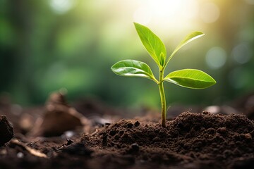 Tree in forest. Nurturing nature. Art of planting and growth. Seed to sprout. Journey of green life. Sustainable beginnings. Cultivating life in soil