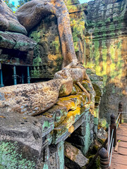 Ta Prohm, a mysterious temple of the Khmer civilization, located on the territory of Angkor in Cambodia
