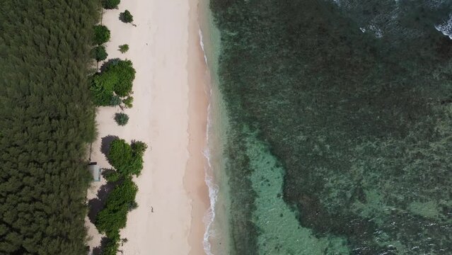 The bottom of the beach looks like green coral and white sand on Watu Leter Beach