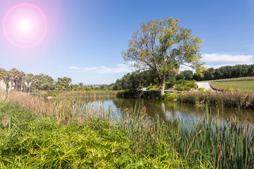 buddha statues in the famous Bacalhoa Buddha Eden Garden in central Portugal