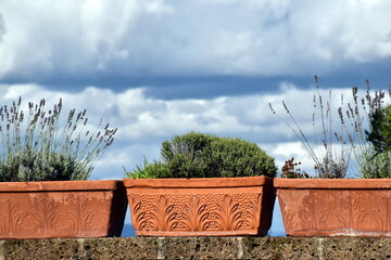 Tonblumentöpfe auf einer Mauer in Civita di Bagnoregio
