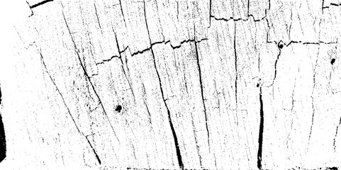 Abstract background. Monochrome texture. Abstract vector noise. Grunge texture overlay with rough and fine black particles isolated on white background. Vector illustration.