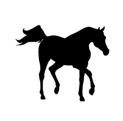 Arabian horse vector silhouette on a white background