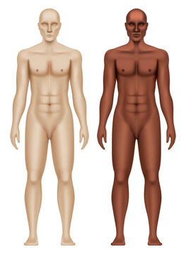 White and black man anatomical body realistic vector illustration isolated on a white background.