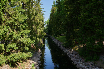 river in the forest