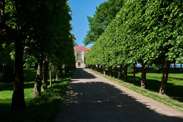 walk on the road