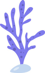 Fototapeta premium Seaweed Flat Coral