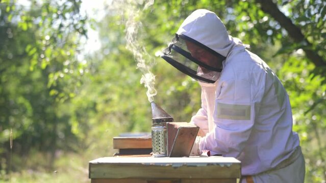 Beekeeper working on his apiary in the forest, beekeeping concept