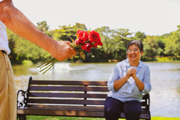 Senior asian couple's wedding lasting love anniversary surprise : Elderly husband hides red rose...