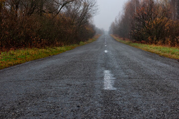 Fototapeta premium asphalt desert road in a foggy forest. Dull sad autumn road.