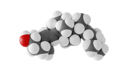 ergocalciferol molecule, vitamin d2, molecular structure, isolated 3d model van der Waals