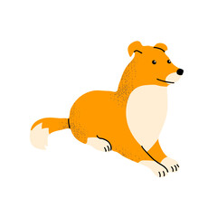 Red collie dog. Cute friendly pet. Flat vector illustration isolated on white background