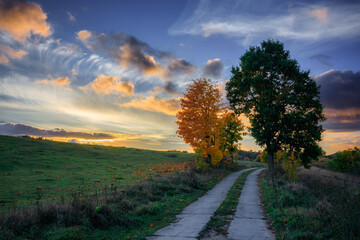 Fototapety na wymiar - Fototapeta24.pl