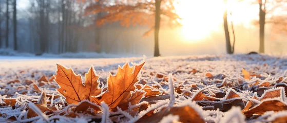 Foto op Canvas Beautiful colorful nature with bright orange leaves covered with frost in late autumn or early winter. © Santy Hong