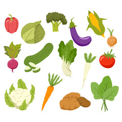 Set of Vegetables