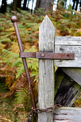 Wooden gate with an old bolt