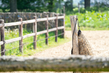 Hay net hanging on pole in paddock paradise track system