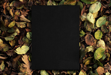 Realistic A4 poster mockup with black canvas on autumn leaves background, printed texture with...