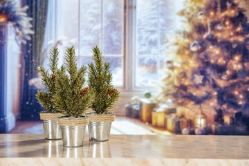 Winter window background and christmas tree. 