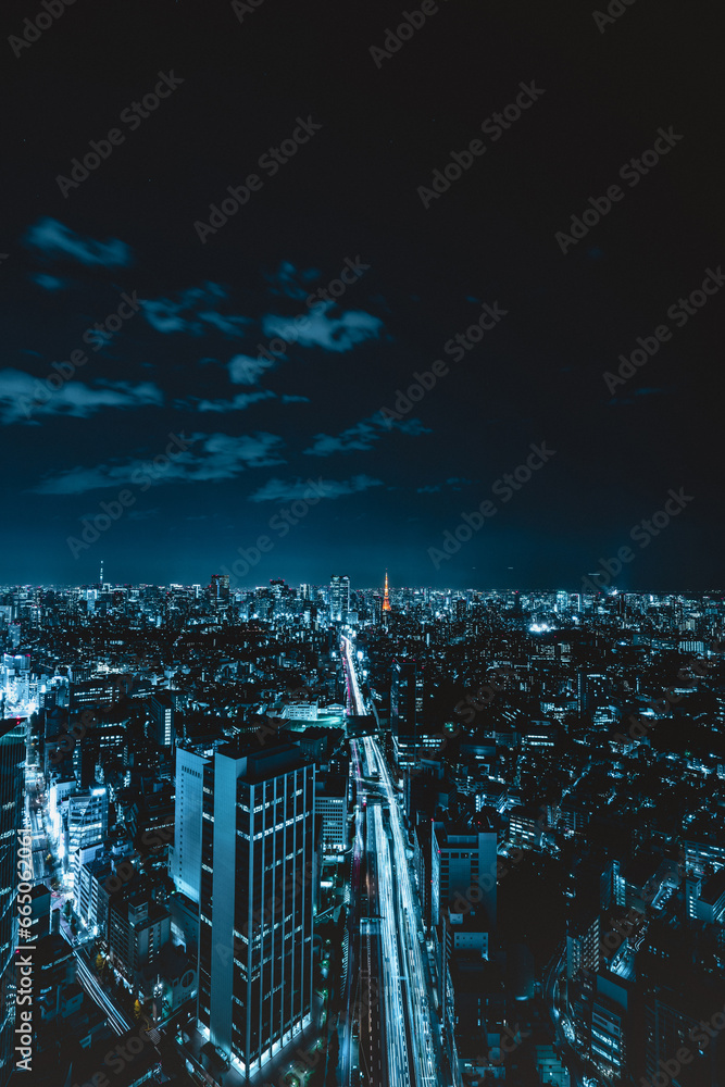 Wall mural Tokyo city skyline view and office business building skyscraper downtown center with Tokyo Tower at evening in Japan. Asia tourism, modern city life, or business finance and economy concept