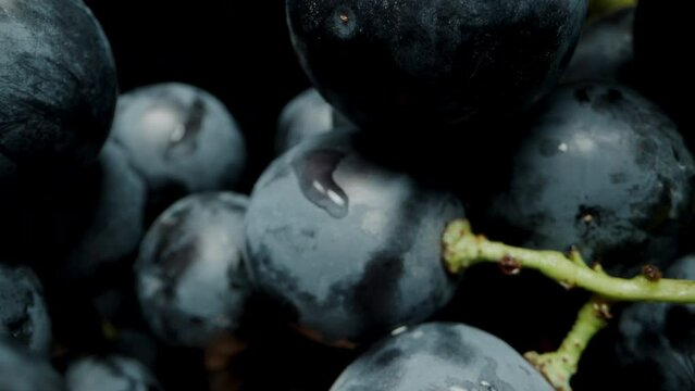 Black grapes in water droplets on a black background. Dolly slider extreme close-up.