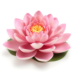 Lotus flower 3d isolated on white