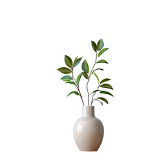 vase with plant and wooden isolated on transparent background