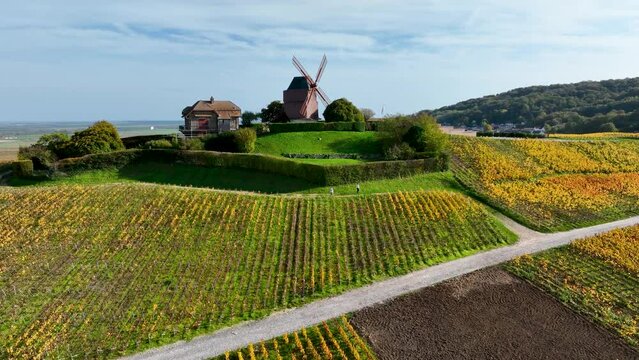 R&eacute;gion de Champagne en automne. Chemins qui parcourent les vignobles. 